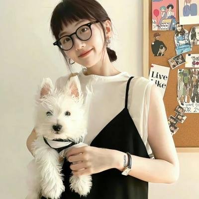 勇敢的翅膀